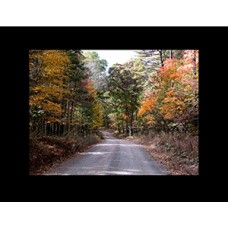 Oldtown Orleans Rd Allegany County Maryland in Black Mat
